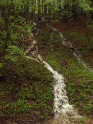 2013-06-01_Regina-F-Rau_Staffelalm_Hochwasser (022).JPG